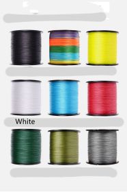 Hook Drop Spinning Wheel Fishing Line (Option: White-5.0)
